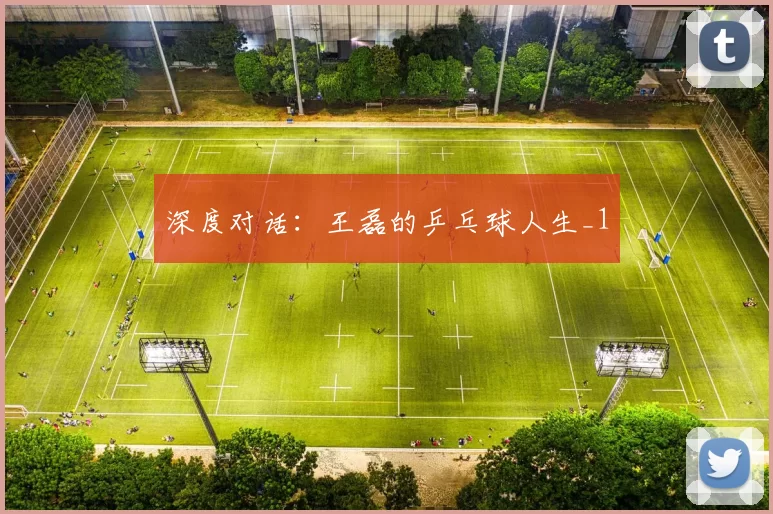 深度对话：王磊的乒乓球人生_1