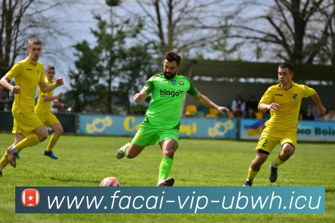 九游体育注册品牌故事